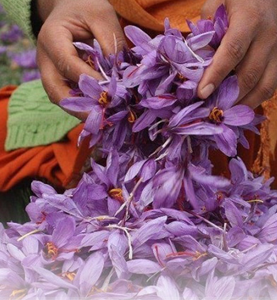 سوغات خراسان جنوبی؛ از طعم‌های خاص تا هنرهای اصیل محلی